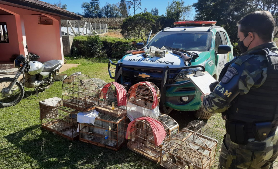 Polícia Ambiental apreende quatro armas e 12 pássaros silvestres em Rio Negro
