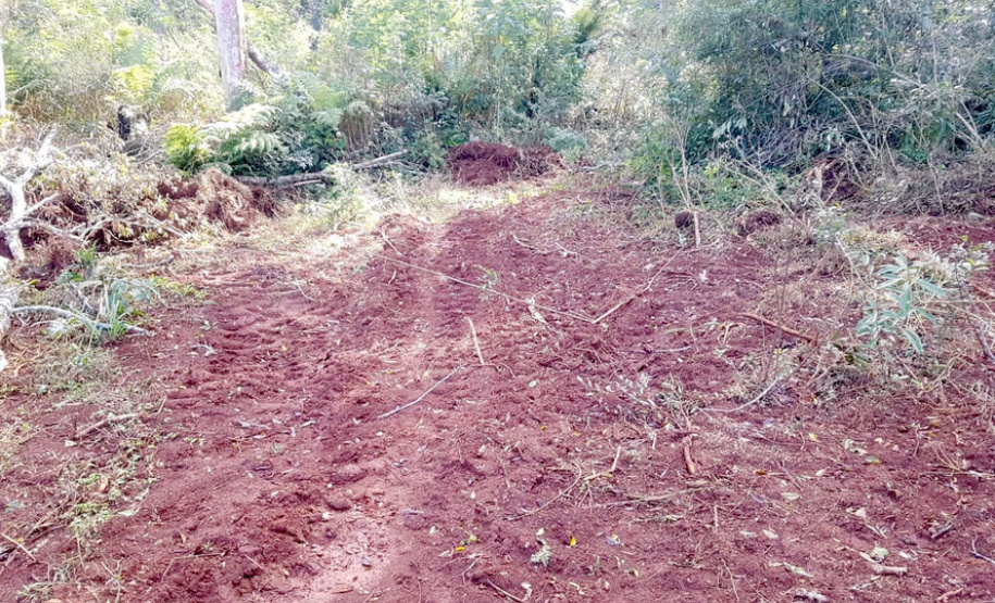 Polícia Ambiental e IAT localizam 406 ha de desmate no Centro-Sul e aplicam R$ 4,2 milhões em multas