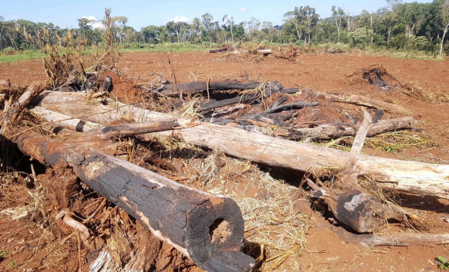 Polícia Ambiental e IAT localizam 406 ha de desmate no Centro-Sul e aplicam R$ 4,2 milhões em multas