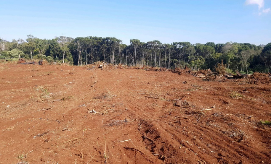 Polícia Ambiental e IAT localizam 406 ha de desmate no Centro-Sul e aplicam R$ 4,2 milhões em multas