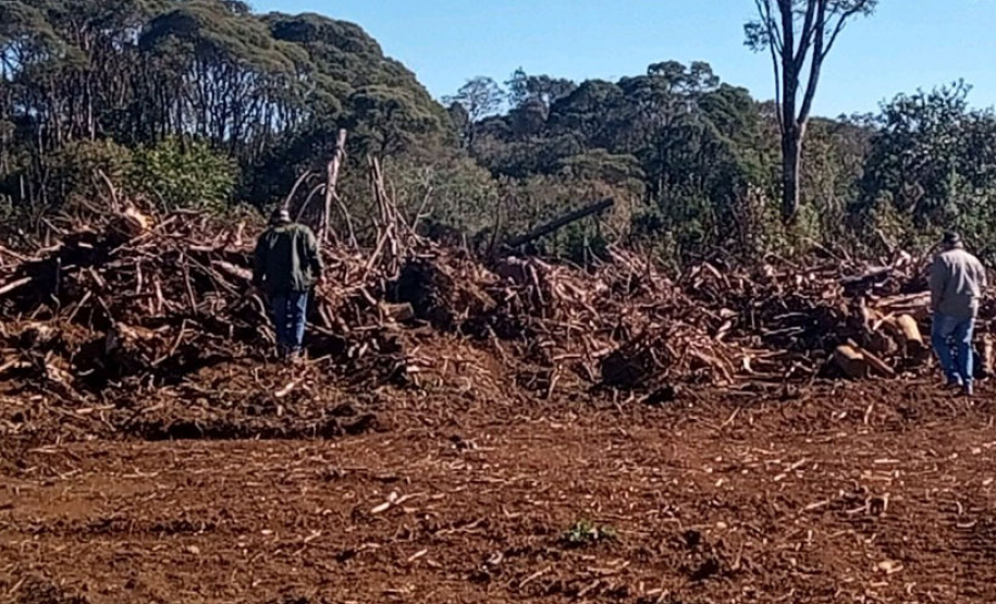 Polícia Ambiental e IAT localizam 406 ha de desmate no Centro-Sul e aplicam R$ 4,2 milhões em multas