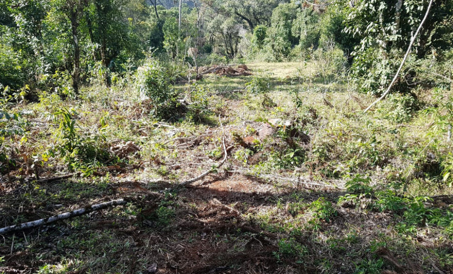 Polícia Ambiental e IAT localizam 406 ha de desmate no Centro-Sul e aplicam R$ 4,2 milhões em multas