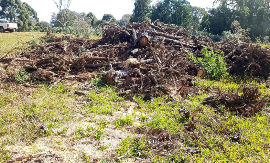 Polícia Ambiental e IAT localizam 406 ha de desmate no Centro-Sul e aplicam R$ 4,2 milhões em multas