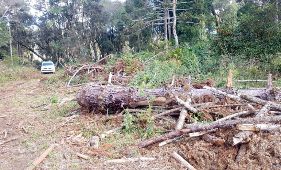 Polícia Ambiental e IAT localizam 406 ha de desmate no Centro-Sul e aplicam R$ 4,2 milhões em multas