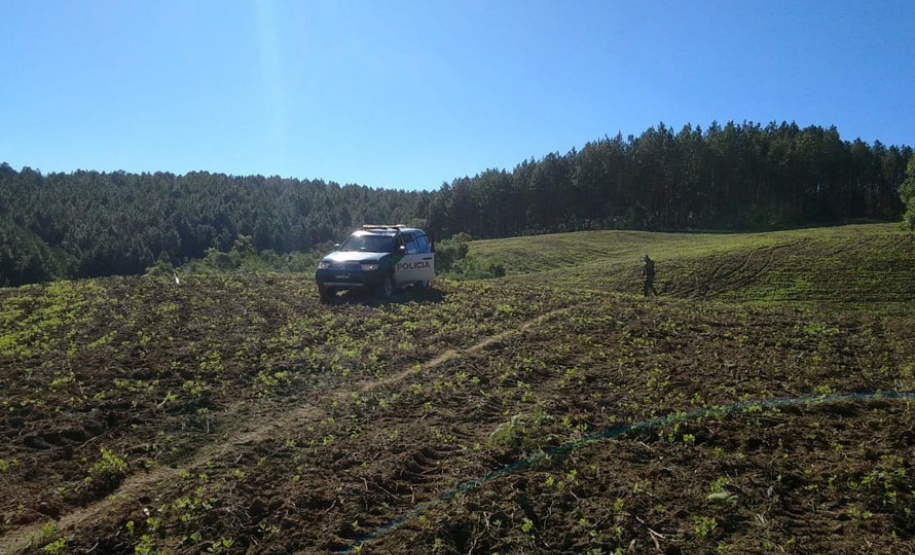 Polícia Ambiental e IAT localizam 406 ha de desmate no Centro-Sul e aplicam R$ 4,2 milhões em multas