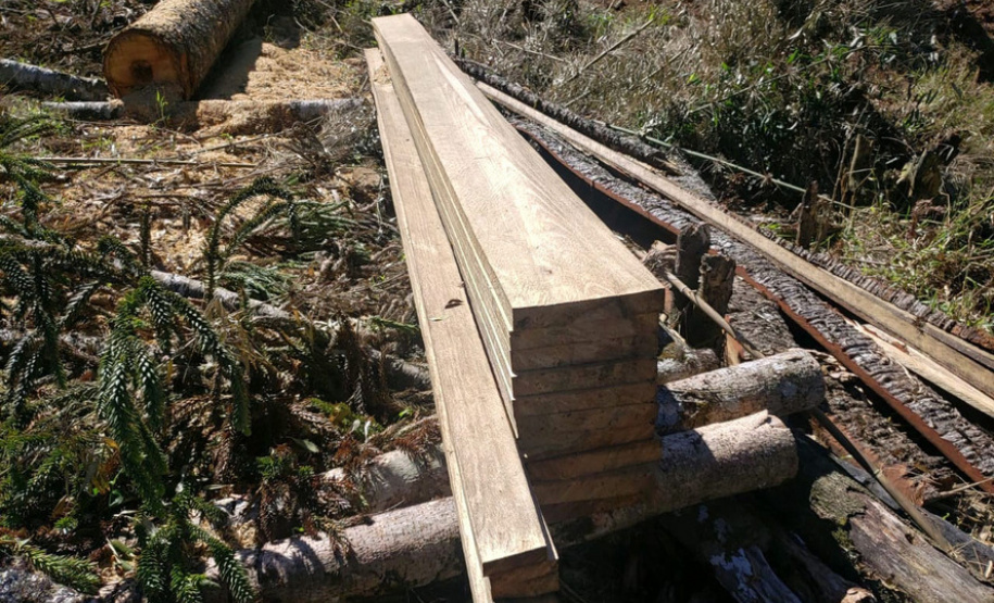 Polícia Ambiental e IAT localizam 406 ha de desmate no Centro-Sul e aplicam R$ 4,2 milhões em multas