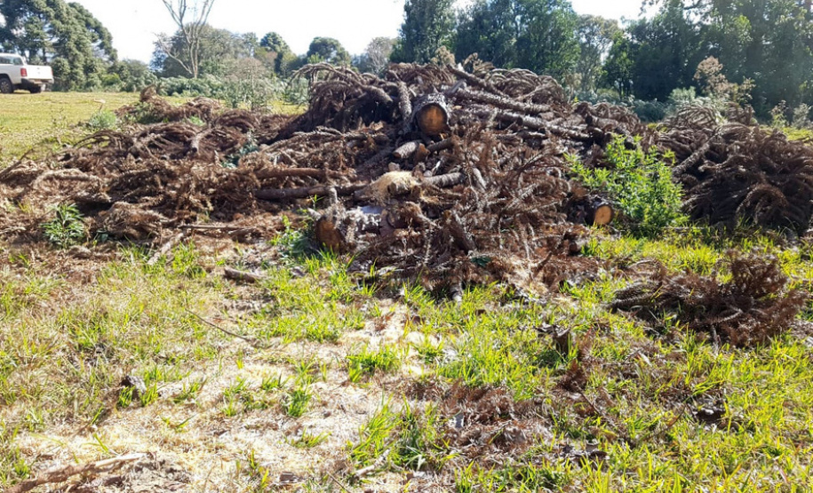 Polícia Ambiental e IAT localizam 406 ha de desmate no Centro-Sul e aplicam R$ 4,2 milhões em multas