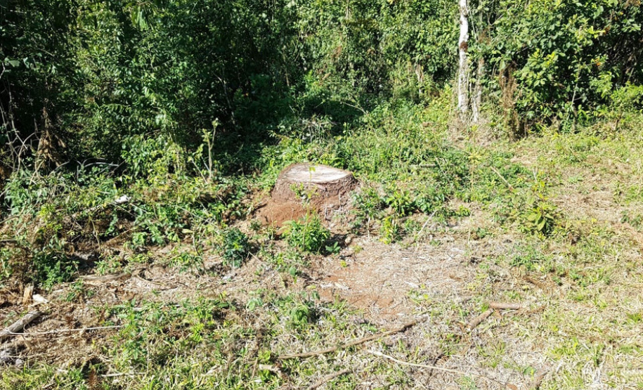 Polícia Ambiental e IAT localizam 406 ha de desmate no Centro-Sul e aplicam R$ 4,2 milhões em multas