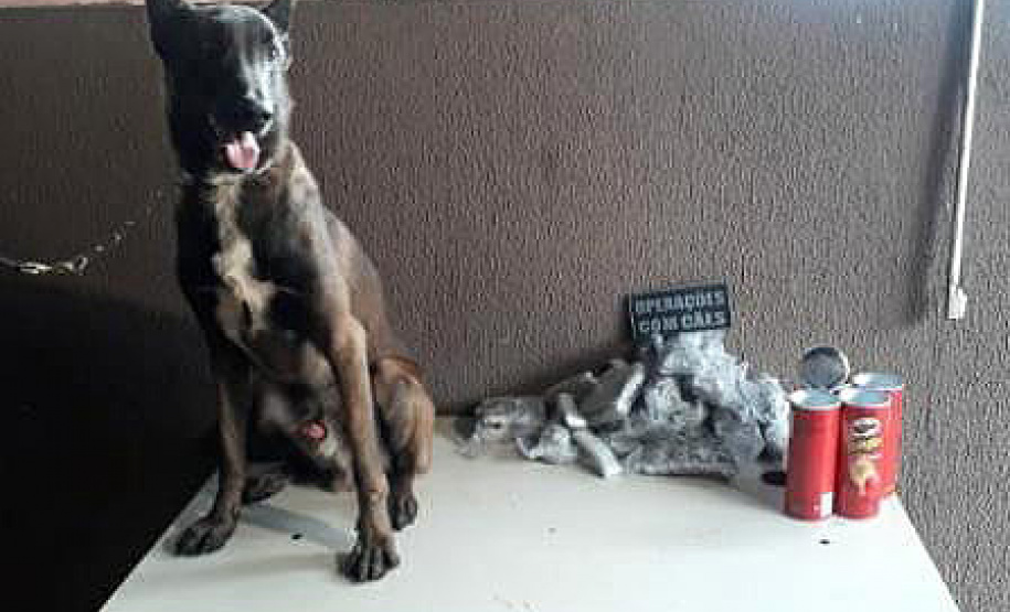 PM intensifica ação na fronteira e apreende mais de 2 toneladas de droga em dois dias