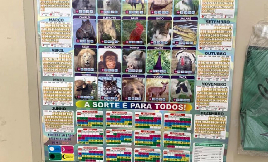 Ação policial interdita mais sete estabelecimentos comerciais em Curitiba