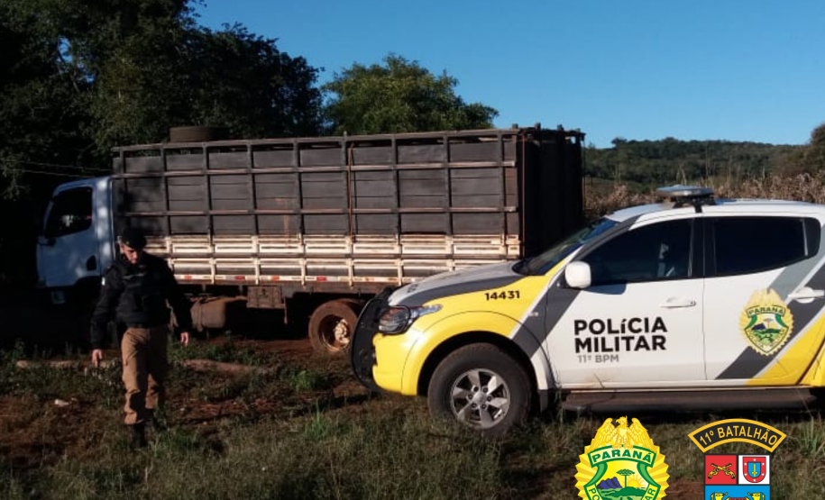 Momentos após crime, PM recupera gado furtado e apreende caminhão roubado, em Campo Mourão, no Noroeste