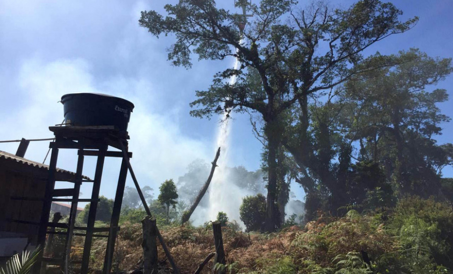 Paraná registra queda de 30% nos incêndios florestais no 1º quadrimestre