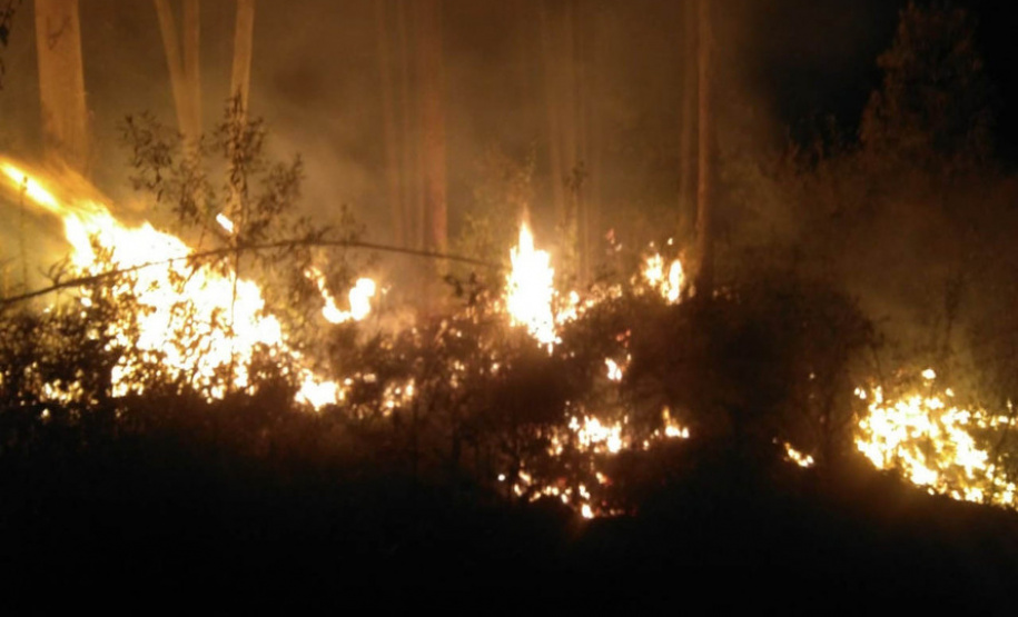 Paraná registra queda de 30% nos incêndios florestais no 1º quadrimestre