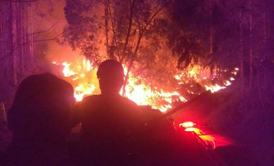 Paraná registra queda de 30% nos incêndios florestais no 1º quadrimestre