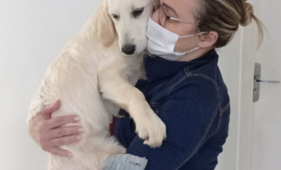 Cão da PM será aplicado em programa de saúde mental de profissionais da segurança pública