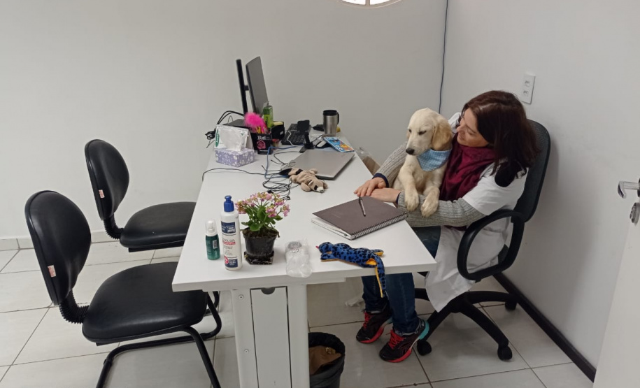 Cão da PM será aplicado em programa de saúde mental de profissionais da segurança pública