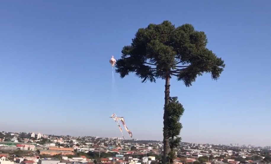 Polícia Militar apreende balão que caiu no bairro Boqueirão, em Curitiba