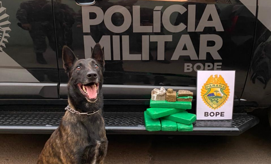 PM cumpre 13 mandados judiciais no bairro Prado Velho e apreende adolescentes envolvidos com o tráfico, em Curitiba