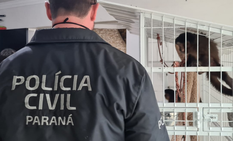 PCPR deflagra operação contra o tráfico de animais