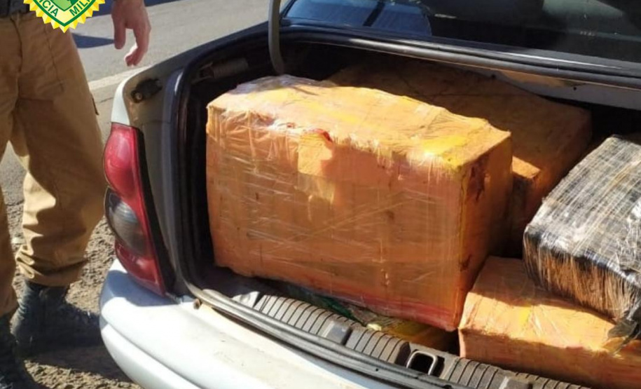 Quase 230 quilos de maconha são apreendidos pela PM em Cianorte (PR)