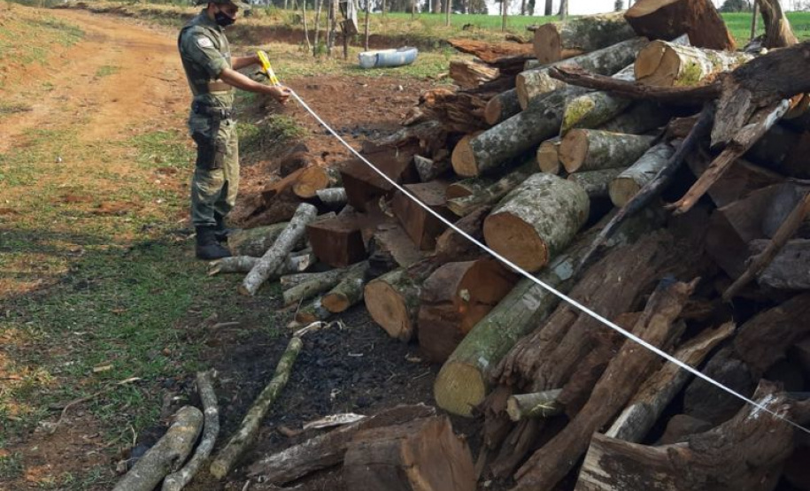 Estado aplica R$ 1 milhão em multas e apreende madeira nativa em ação contra o desmatamento