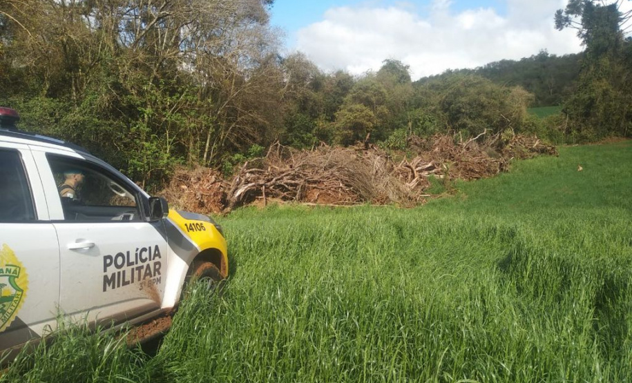 Estado aplica R$ 1 milhão em multas e apreende madeira nativa em ação contra o desmatamento