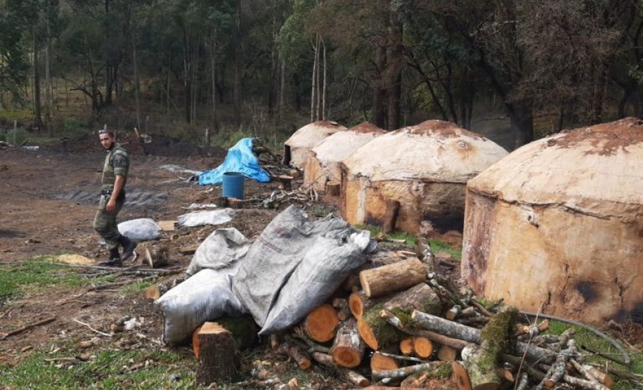 Estado aplica R$ 1 milhão em multas e apreende madeira nativa em ação contra o desmatamento