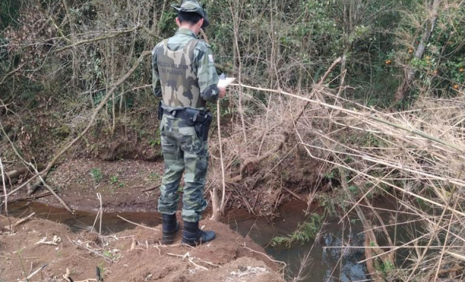 Estado aplica R$ 1 milhão em multas e apreende madeira nativa em ação contra o desmatamento
