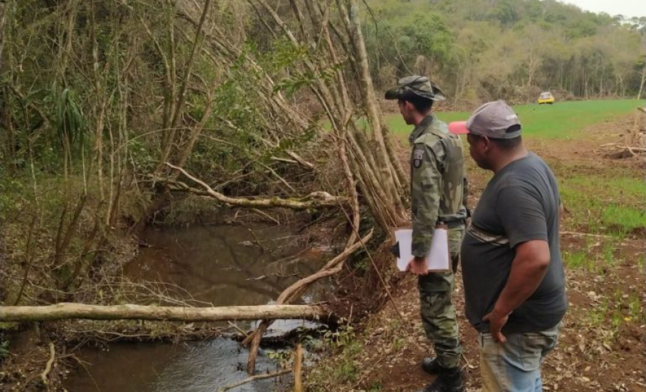 Estado aplica R$ 1 milhão em multas e apreende madeira nativa em ação contra o desmatamento