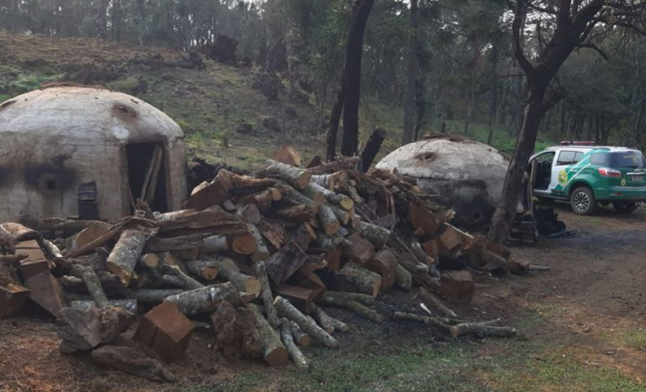 Estado aplica R$ 1 milhão em multas e apreende madeira nativa em ação contra o desmatamento