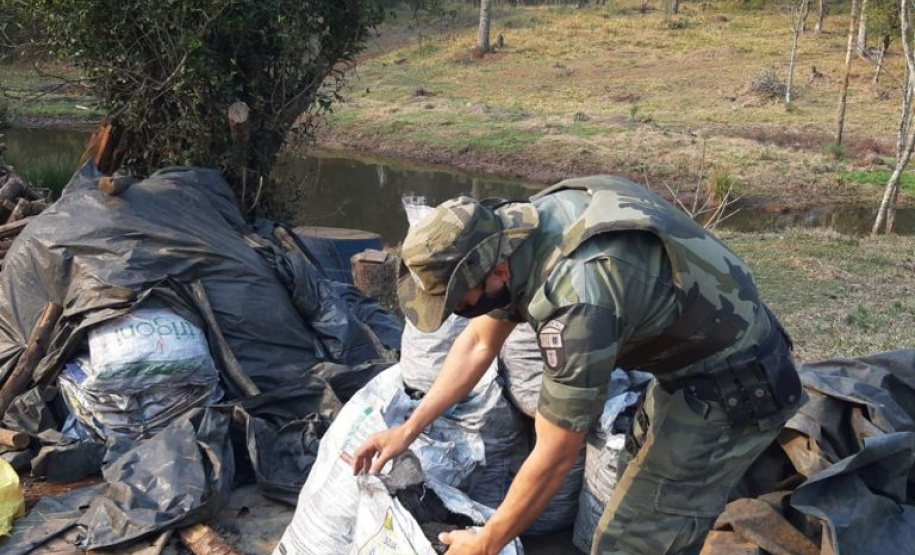 Estado aplica R$ 1 milhão em multas e apreende madeira nativa em ação contra o desmatamento