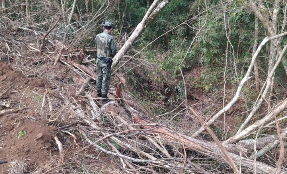 Estado aplica R$ 1 milhão em multas e apreende madeira nativa em ação contra o desmatamento