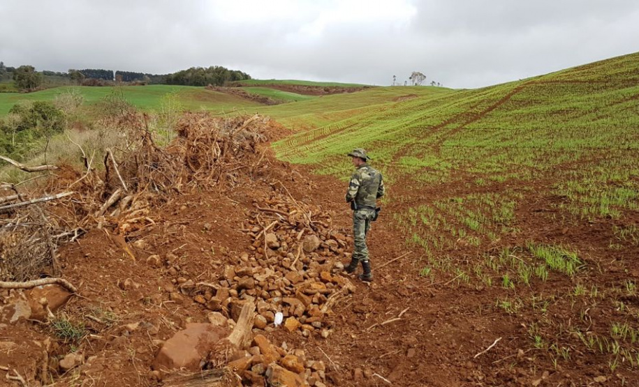 Estado aplica R$ 1 milhão em multas e apreende madeira nativa em ação contra o desmatamento