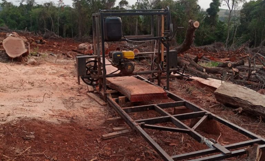 Estado aplica R$ 1 milhão em multas e apreende madeira nativa em ação contra o desmatamento