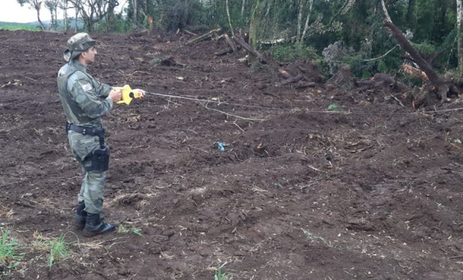 Estado aplica R$ 1 milhão em multas e apreende madeira nativa em ação contra o desmatamento