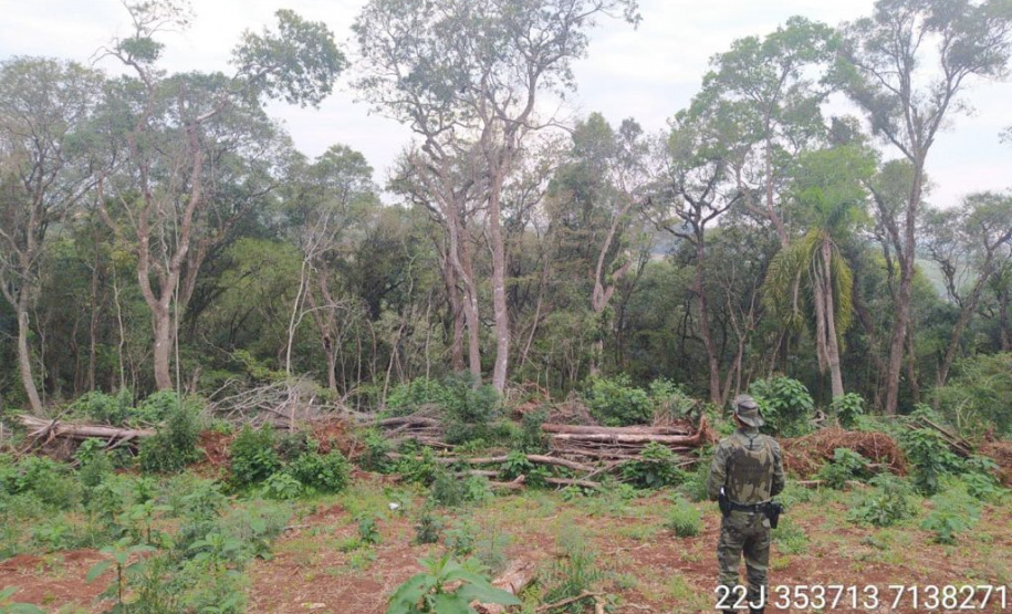 Estado aplica R$ 1 milhão em multas e apreende madeira nativa em ação contra o desmatamento