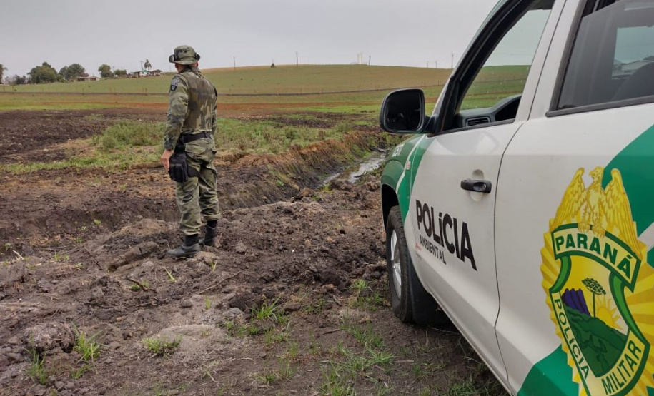 Estado aplica R$ 1 milhão em multas e apreende madeira nativa em ação contra o desmatamento