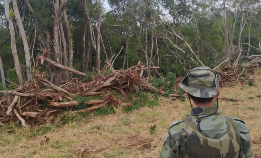 Estado aplica R$ 1 milhão em multas e apreende madeira nativa em ação contra o desmatamento