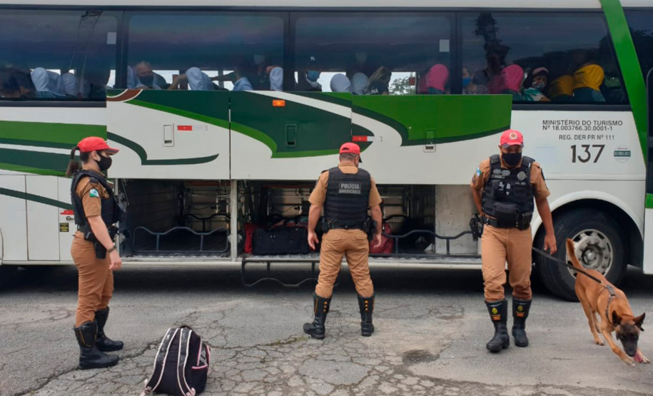 Atuação conjunta das polícias resulta em aumento na apreensão de drogas no primeiro semestre