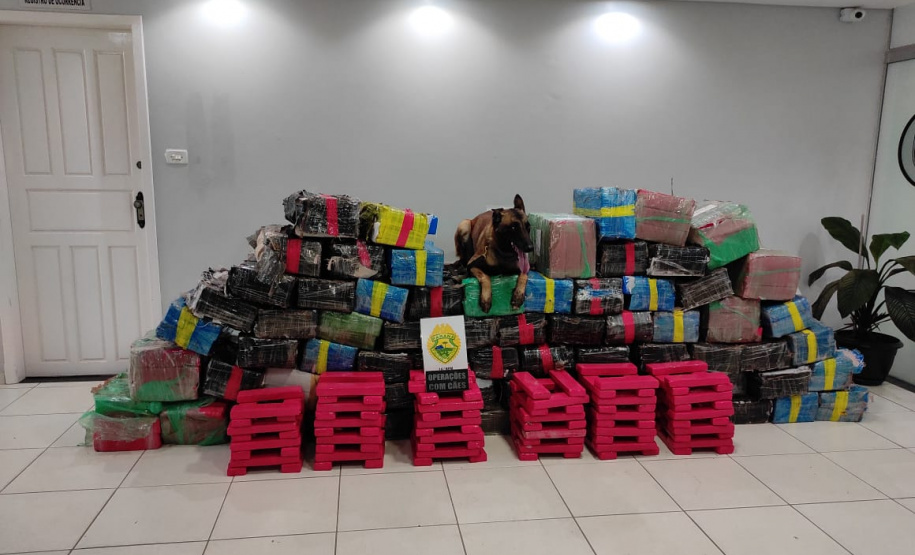 Mais de 1,5 tonelada de maconha é apreendida pela PM em Candói (PR)