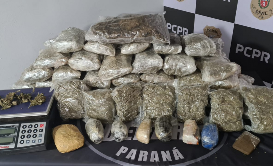 Polícia Civil apreende quase 1,5 tonelada de maconha no Centro de Curitiba