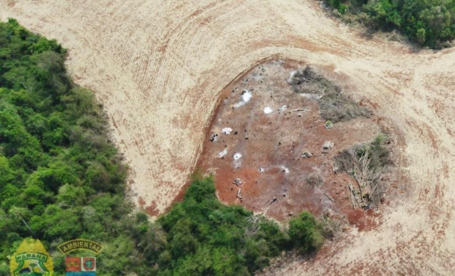 Polícia Ambiental flagra desmatamento e proprietário é preso após tentativa de homicídio contra equipe em Peabiru (PR)
