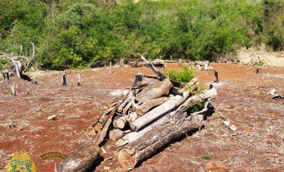 Polícia Ambiental flagra desmatamento e proprietário é preso após tentativa de homicídio contra equipe em Peabiru (PR)