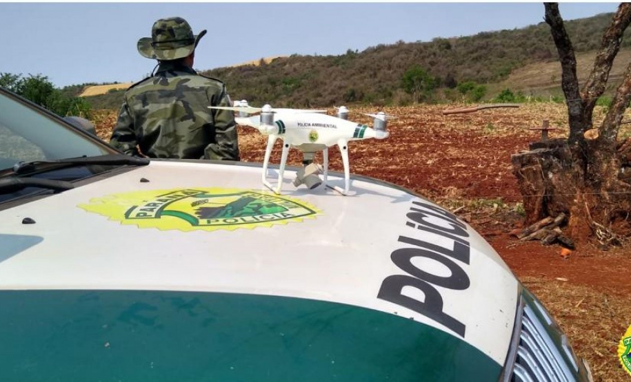 Operação Mata Atlântica em Pé aplicou R$ 15,6 milhões em multas por desmatamento ilegal