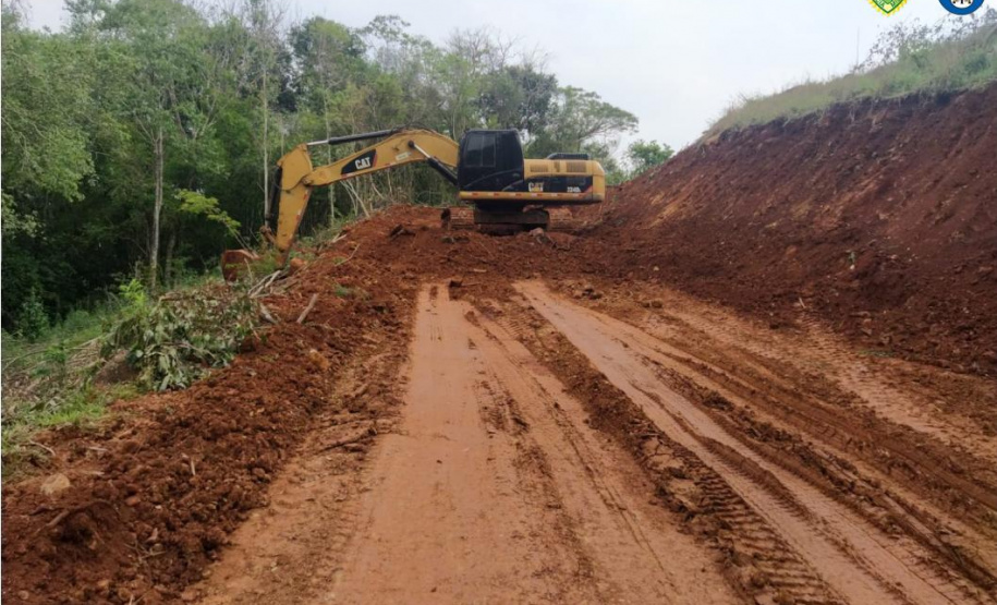 Operação Mata Atlântica em Pé aplicou R$ 15,6 milhões em multas por desmatamento ilegal