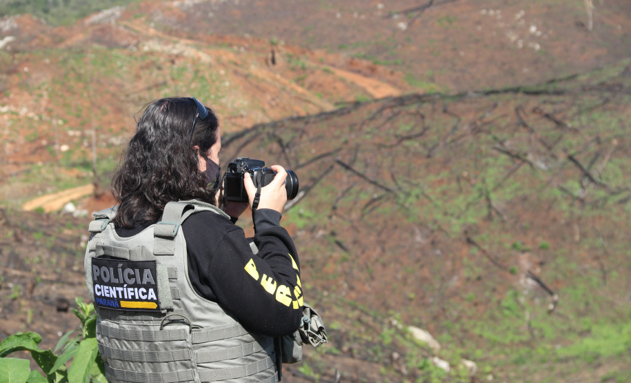 Operação Mata Atlântica em Pé aplicou R$ 15,6 milhões em multas por desmatamento ilegal
