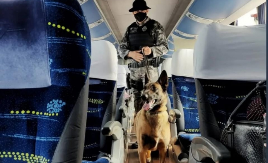 Secretários da Segurança avaliam operação integrada que prendeu 2,7 mil pessoas