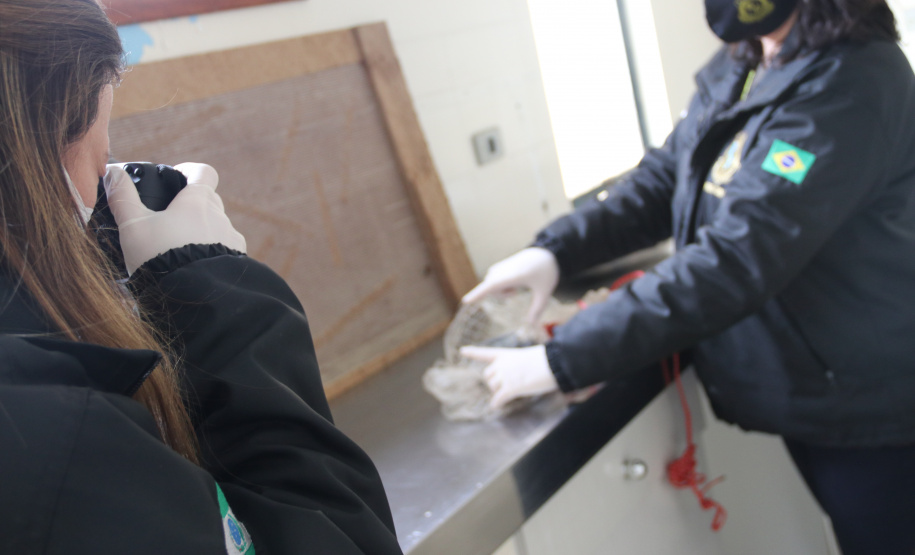 https://www.seguranca.pr.gov.br/Noticia/Secao-de-Crimes-Ambientais-da-Policia-Cientifica-fortalece-protecao-da-fauna-e-da-flora-no