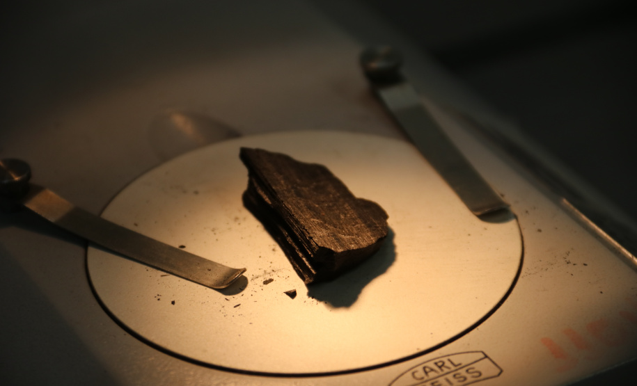 Crimes ambientais e ciência forense são discutidos durante 18ª Semana Nacional de Ciência, Tecnologia e Inovação