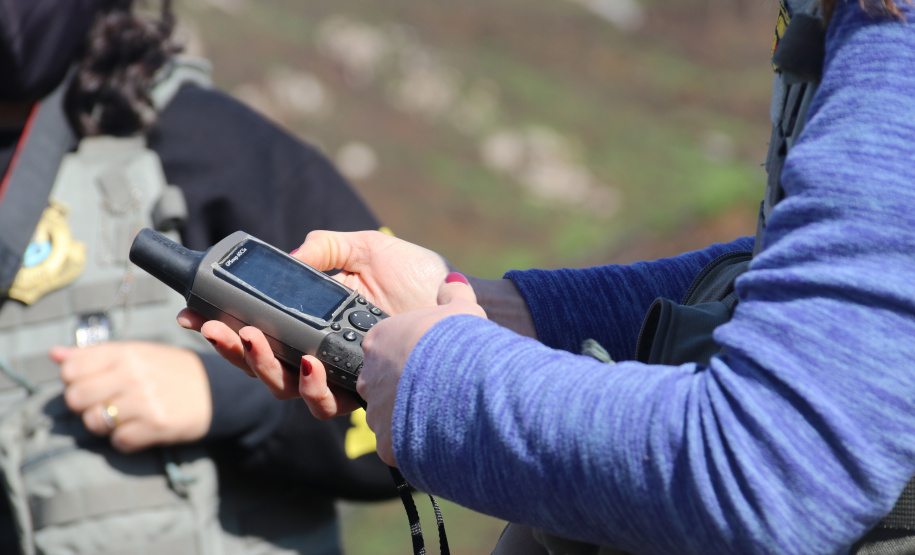 Seção de Crimes Ambientais da Polícia Científica fortalece proteção da fauna e da flora no Paraná
